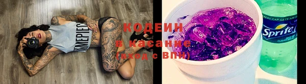 гашик Аркадак