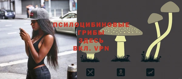 ECSTASY Баксан