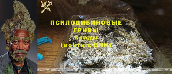 хмурый Балабаново