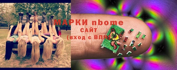 гашик Аркадак