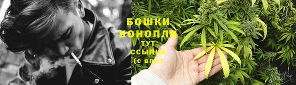 гашик Аркадак