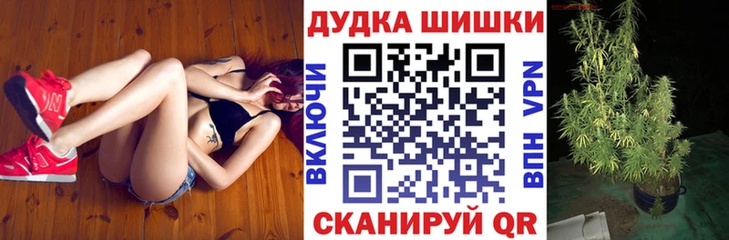 omg зеркало  Балашов  Конопля план 